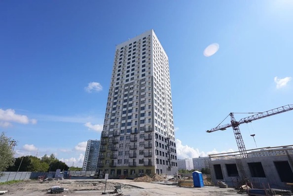 25 августа 2025