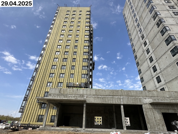 29 апреля 2025
