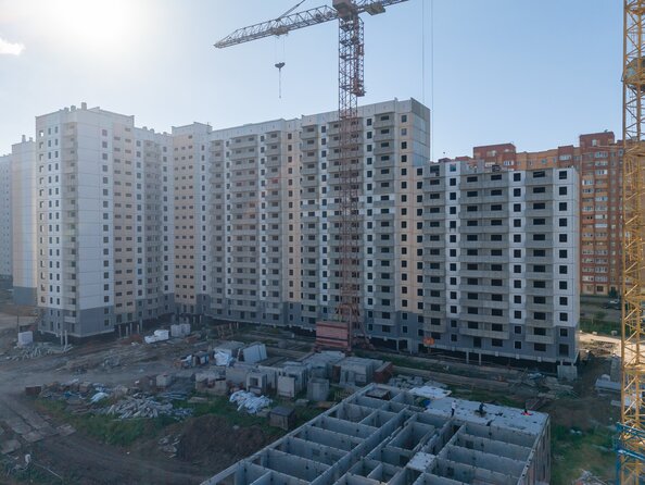  10 июля 2026
