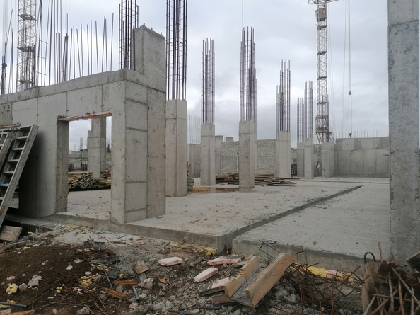 8 октября 2025