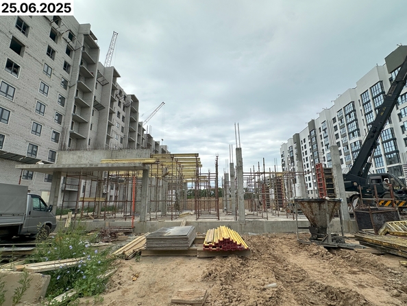 25 июня 2025