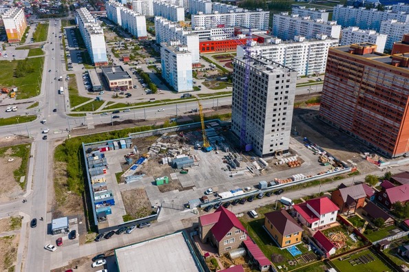 25 мая 2026