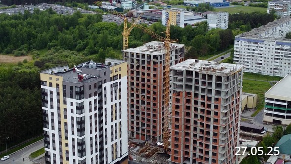 27 мая 2025