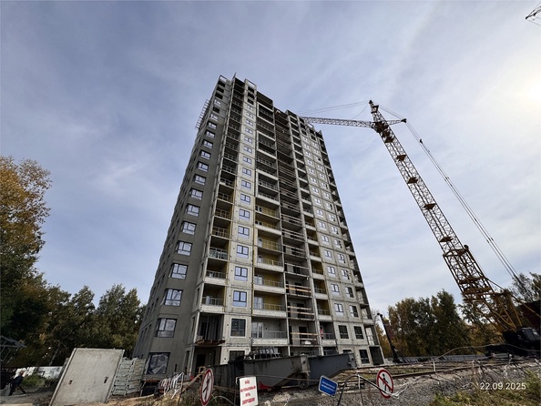 22 сентября 2025