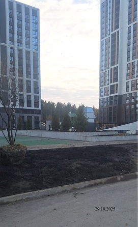 29 октября 2025