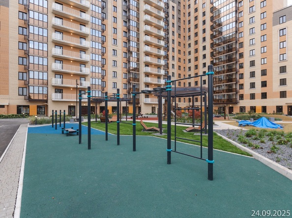 26 сентября 2025