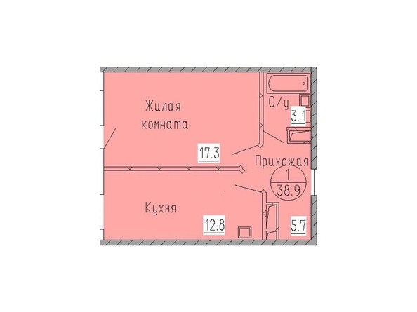 Планировка однокомнатной квартиры 38,9 кв.м