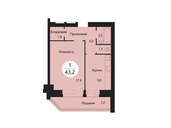 Планировка однокомнатной квартиры 43,2 кв.м