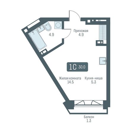 Планировка 1-комн 30, 30,2 м²