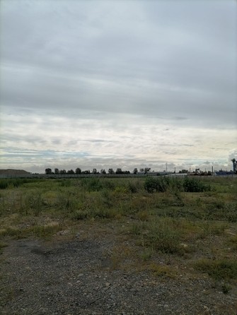 
  Продам  землю сельхозназначения, 133 соток, Красноярск

. Фото 6.
