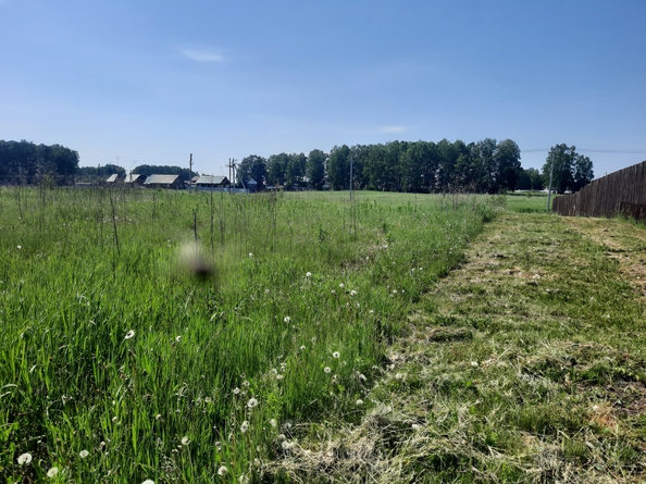 
  Продам  землю сельхозназначения, 34.5 соток, Мужичкино

. Фото 3.