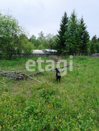 
  Продам  дачный участок, 9.1 соток, Арейское село

. Фото 12.