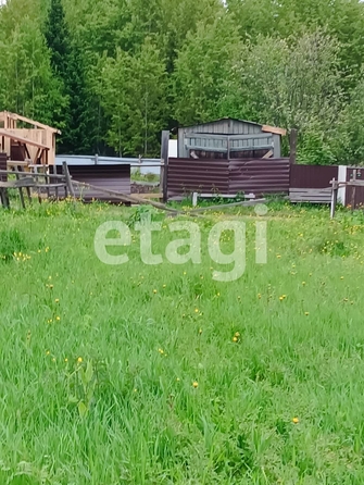 
  Продам  дачный участок, 9.1 соток, Арейское село

. Фото 13.
