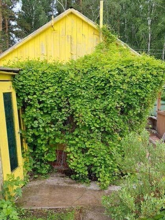 
   Продам дом, 150 м², Звездочка

. Фото 27.