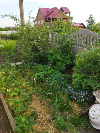 
  Продам 1-комн. квартиру, 33 м², Юности ул, д. 6
. Фото 14.