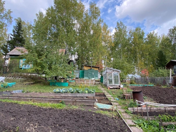 
  Продам дачу, 54 м², СНТ Солнечная поляна(Элита)
. Фото 12.