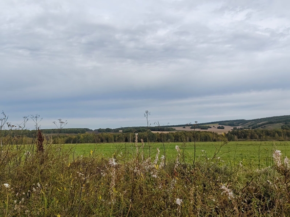 
  Продается земельный участок, 9 соток, ДНТ Заречье
. Фото 8.