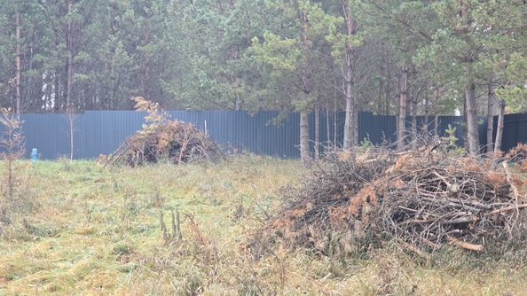 
  Продается земельный участок, 50 соток, деревня Сухая деревня
. Фото 3.