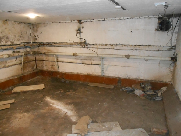 
  Сдается универсальное помещение 40 м². Фото 3.