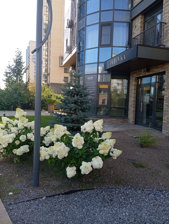
  Сдается 2-комн. квартира 61.4 м². Фото 27.