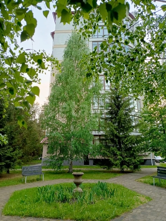 
   Продам 3-комнатную, 124.5 м², Змеиногорский тракт, 102/20

. Фото 5.