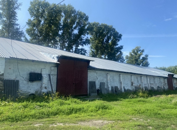 
  Сдается склад, 1200 м², Элеваторная ул, д. 8
. Фото 1.