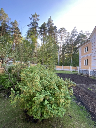 
  Продается дом, 300 м², село Лебяжье
. Фото 4.