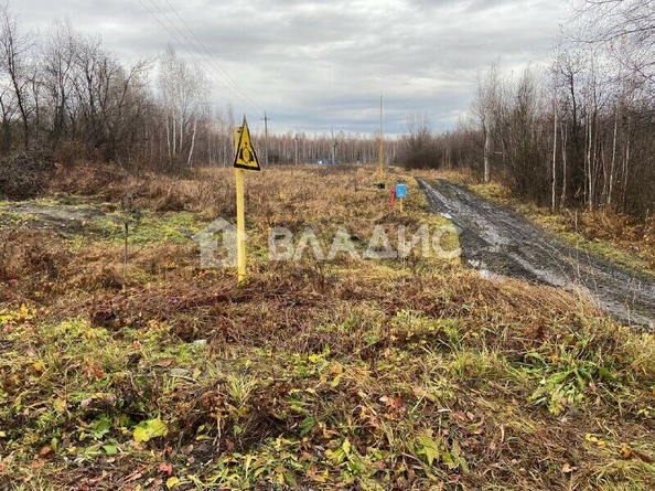 
  Продается земельный участок, 1711.39 соток, поселок Березовка
. Фото 4.
