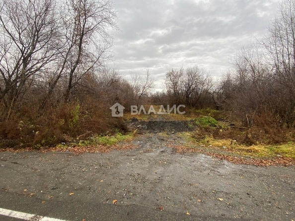 
  Продается земельный участок, 1711.39 соток, поселок Березовка
. Фото 5.