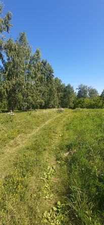 
  Продается земельный участок, 11 соток, поселок Бельмесево
. Фото 6.