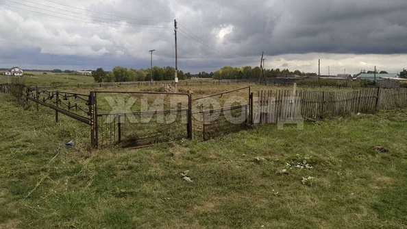 
  Продается земельный участок, 25 соток, село Елунино
. Фото 1.