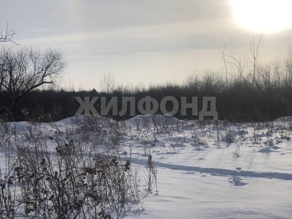 
  Продается земельный участок, 7 соток, село Лебяжье
. Фото 5.