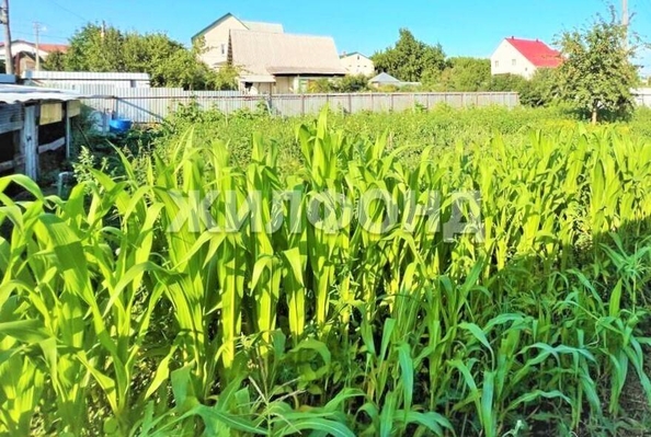 
  Продается дом, 492.5 м², Барнаул
. Фото 10.