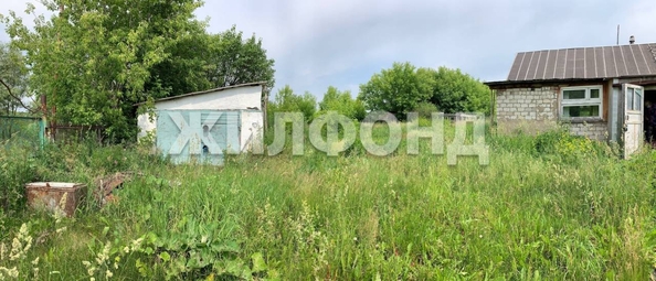 
  Продается земельный участок, 46 соток, поселок Черницк
. Фото 3.