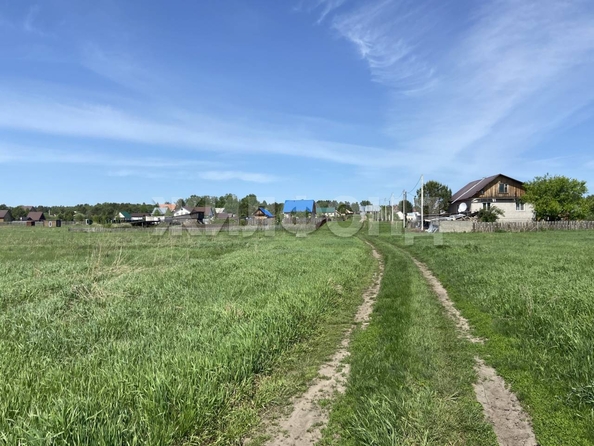 
  Продается земельный участок, 15 соток, село Баюновские Ключи
. Фото 1.