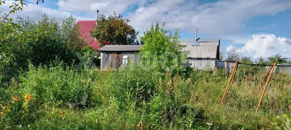
  Продается земельный участок, 12 соток, СНТ Калинка
. Фото 3.