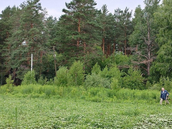 
  Продается дом, 42 м², село Баюновские Ключи
. Фото 10.