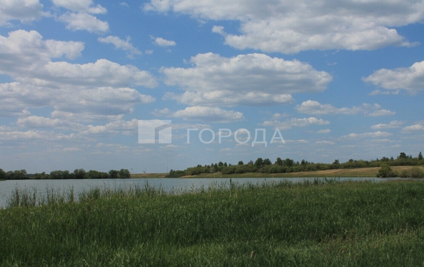 
  Продается земельный участок, 970 соток, село Мамонтово
. Фото 4.
