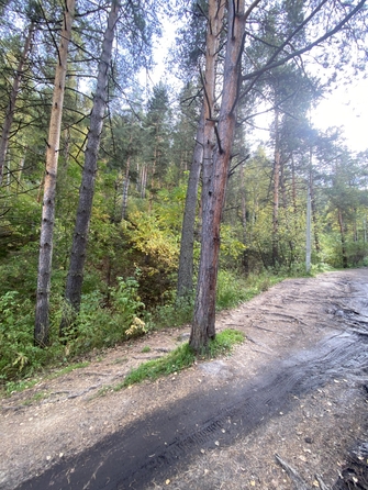 
  Продается земельный участок, 14 соток, Белокуриха
. Фото 6.