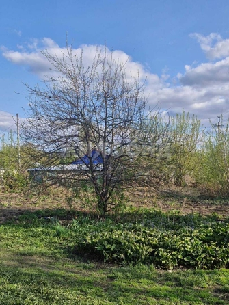
  Продается земельный участок, 9 соток, Барнаул
. Фото 1.