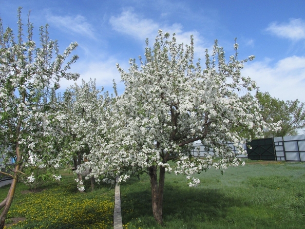 
  Продается коттедж 120 м². Фото 29.