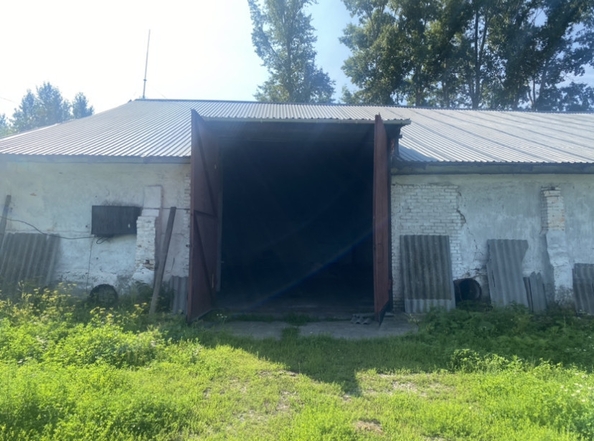 
  Сдается склад 1200 м². Фото 3.