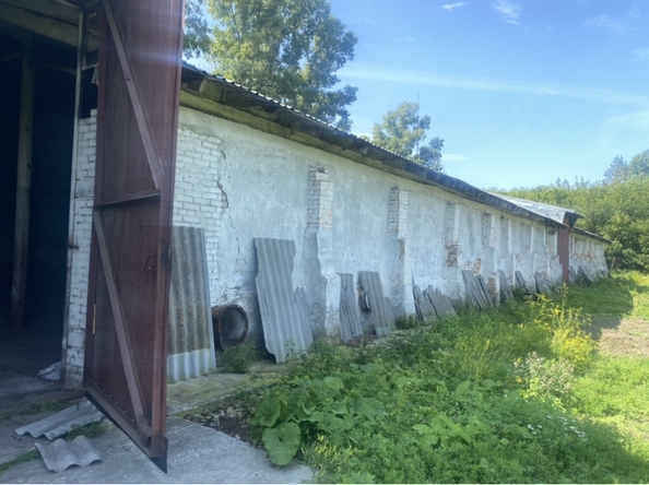 
  Сдается склад 1200 м². Фото 5.