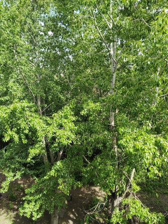 
  Продам 1-комн. квартиру 30.2 м². Фото 10.