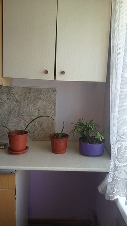 
  Сдам комната 13 м². Фото 4.