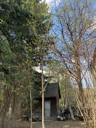 
  Продается дача 74 м². Фото 17.