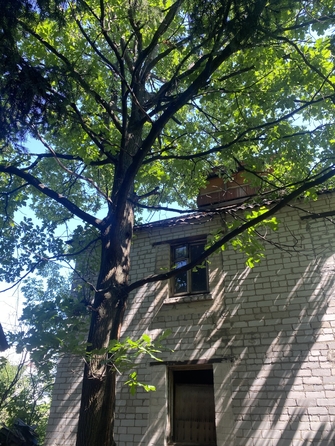 
  Продается дача 74 м². Фото 1.