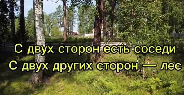 
  Продается земельный участок 24 сотки. Фото 4.