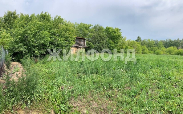 
  Продается земельный участок 0 соток. Фото 6.