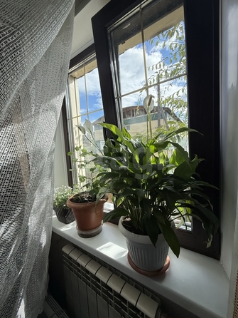 
  Продается комната 16.3 м². Фото 4.